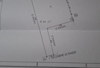 Teren agricol intravilan de 2381 mp, în Ciocârlia - 1