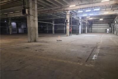Spațiu industrial, de 2,500 mp, în Est - 7