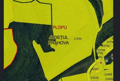 Teren de 60000 mp, în Plopu - 3