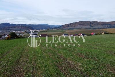 Teren agricol intravilan de 10000 mp, în Gârcina - 11