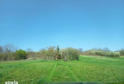 Teren de 1700 mp, în Săndulești - 3