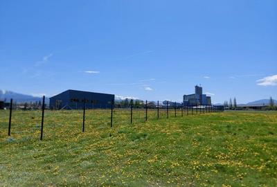 Teren de 1500 mp, în Codlea - 4