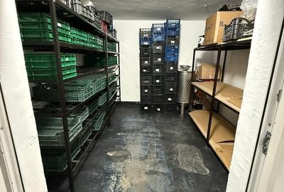 Spațiu comercial, de 170 mp, în Kamsas - 2