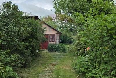 Casă individuală cu 3 camere cu Teren 5063 Mp în Uzunu - 30