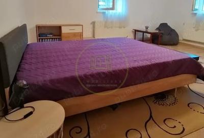 Apartament cu 2 camere decomandat, mobilat în Sub Arini - 2