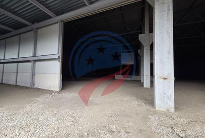 Spațiu industrial, de 4,300 mp, în Vidrasău - 2