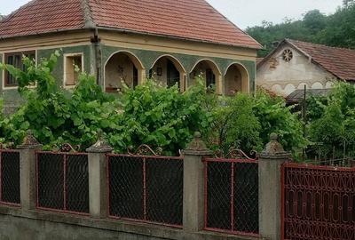 Casă cu 3 camere cu Teren 10000 Mp în Nandru - 1