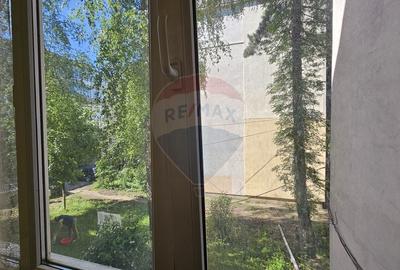 Apartament cu 2 camere semidecomandat în George Enescu - 23