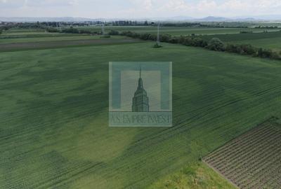Teren Construcții intravilan de 50000 mp, în Hălchiu - 12