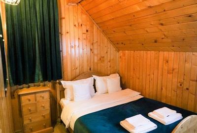 Casă cu 5 camere cu Teren 400 Mp în Valea Doftanei - 13