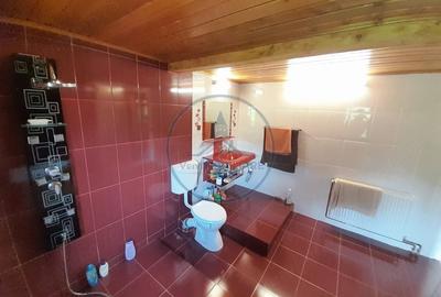 Casă cu Teren 4787 Mp în Central