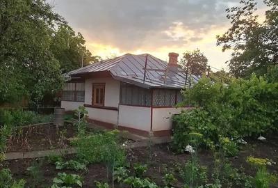Casă cu Teren 3600 Mp în Petru Rareș