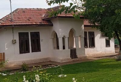 Casă cu 2 camere cu Teren 581 Mp în Rasa - 4