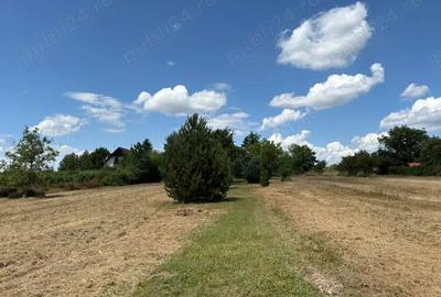 Casă cu 6 camere cu Teren 16351 Mp în Viile Satu Mare - 2