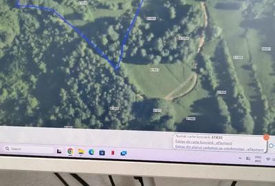 Teren de 16286 mp, în Runcu Mare - 1