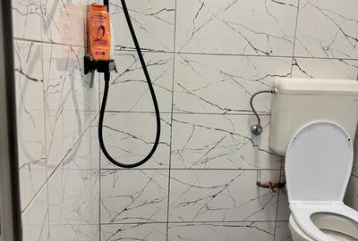 Garsonieră decomandată în Dosu Bricii - 4