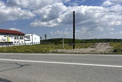 Teren de 350 mp, în Pielești - 7