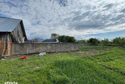 Casă cu 2 camere cu Teren 868 Mp în Arpașu de Jos - 13