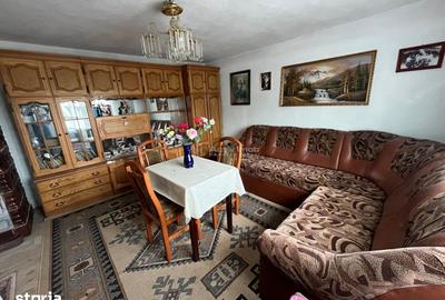 Casă cu 6 camere cu Teren 5900 Mp în Copăcele
