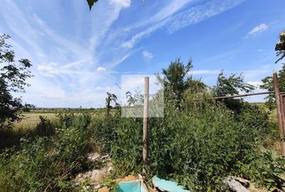 Teren agricol extravilan de 11000 mp, în Neajlovu - 21