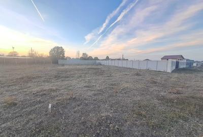 Teren de 600 mp, în Cărpiniș - 1