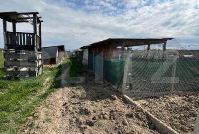 Spațiu comercial, de 509 mp, în Sântandrei - 8