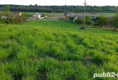 Teren în Albota - 2