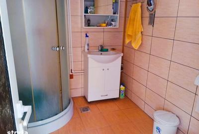 Casă cu 3 camere cu Teren 4302 Mp în Pleșoiu - 2