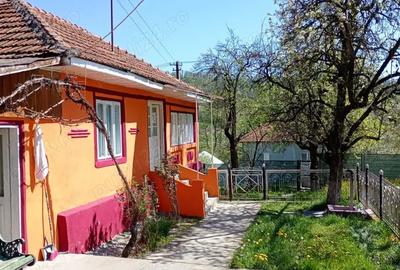 Casă cu 4 camere cu Teren 3600 Mp în Obislavu - 9