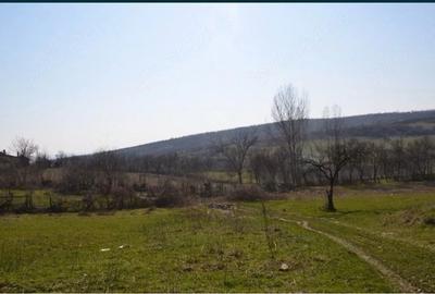 Teren de 1200 mp, în Central