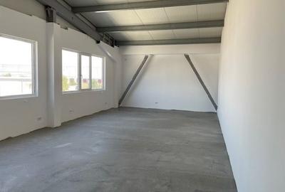 Spațiu industrial, de 600 mp, în Ștefăneștii de Jos - 5