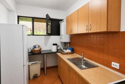 Apartament cu 3 camere decomandat în Bd. Laminorului - 3