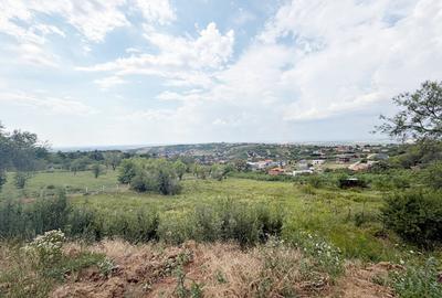Teren Construcții de 6372 mp, în Dealuri Oradea - 1