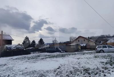 Teren în Dumbrava (Ciurea) - 1