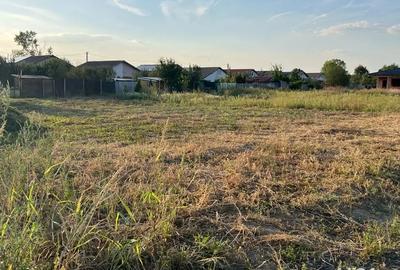 Teren de 594 mp, în Bucovăț (Remetea Mare) - 4