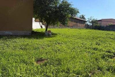 Casă cu Teren 876 Mp în Central - 5