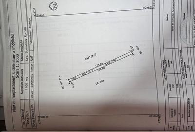Teren de 1400 mp, în Sânmihaiu Român