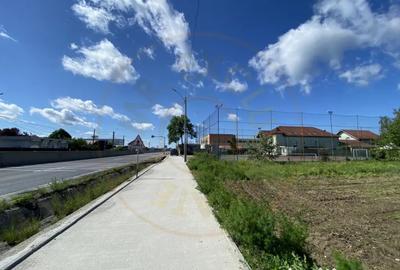 Teren de 7295 mp, în Argeșelu - 6