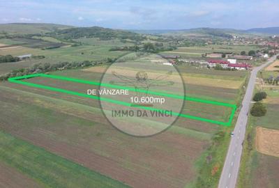Teren de 10670 mp, în Borșa - 7
