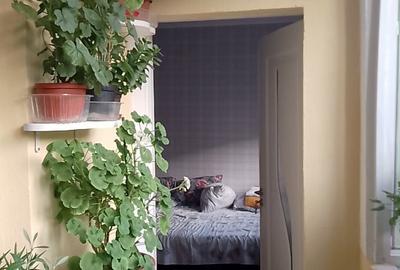 Apartament cu 2 camere semidecomandat în Mehadia