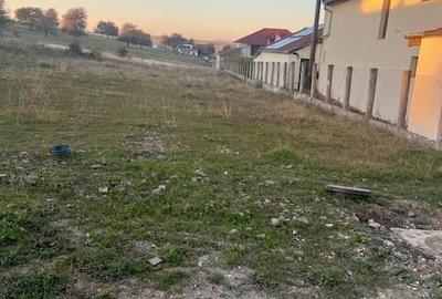 Teren Construcții de 1571 mp, în Daia Nouă - 1