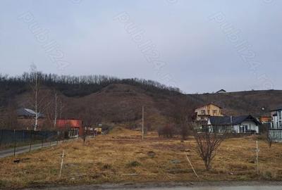Teren de 6874 mp, în Sub Coastă - 1