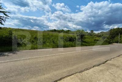 Teren de 5000 mp, în Teișani - 6