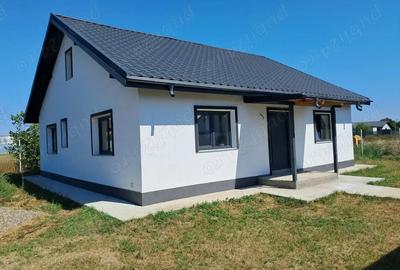 Casă cu 3 camere în Horia - 7