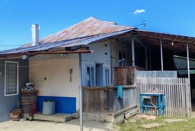 Casă cu 4 camere în Valea Moșneagului