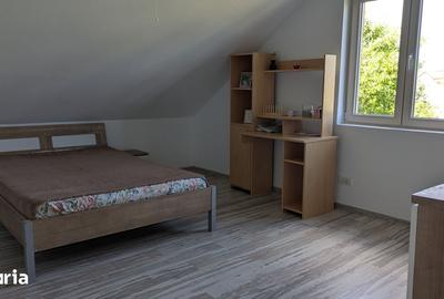 Casă cu 4 camere cu Teren 520 Mp în Vladimirescu