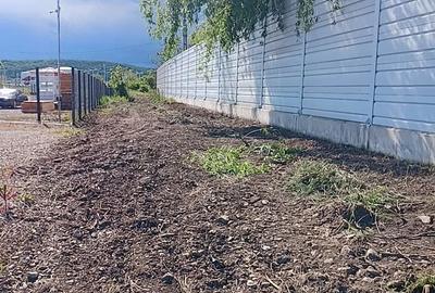 Teren de 2500 mp, în Boldești