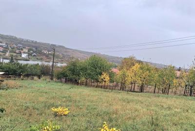 Teren de 600 mp, în Rediu