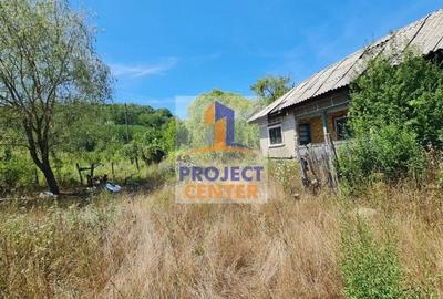 Casă cu 3 camere cu Teren 4525 Mp în Băbana - 7