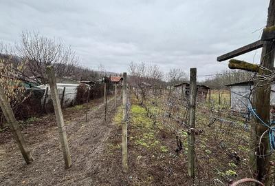 Casă cu Teren 614 Mp în Ceptura - 3